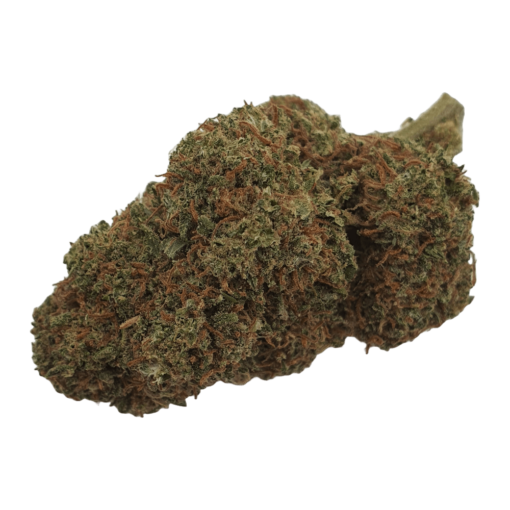 CBD - Blüten (10%) Candy Grape - Canabro