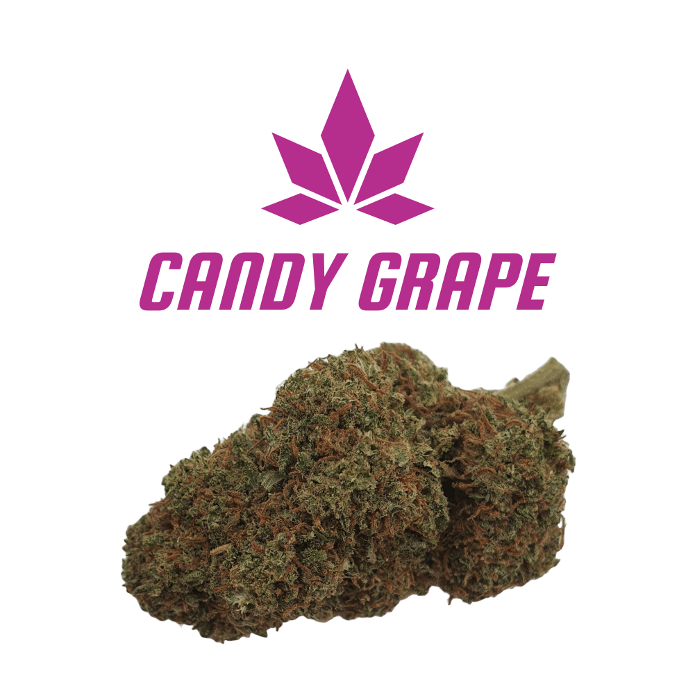 CBD - Blüten (10%) Candy Grape - Canabro