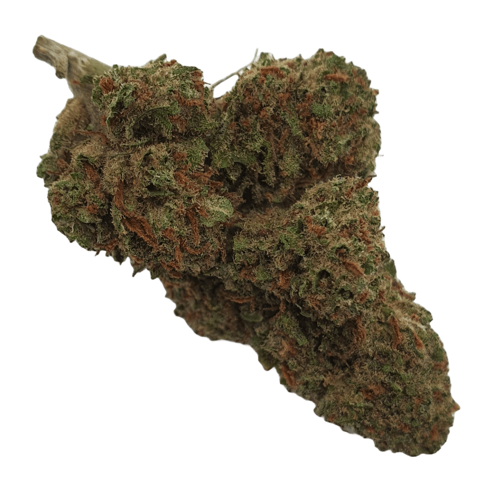 CBD - Blüten (11%) California Blueberry - Canabro