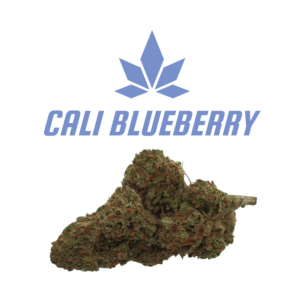 CBD - Blüten (13%) Cali Blueberry - Canabro