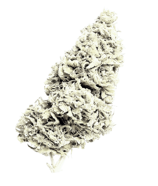 CBD - Blüten (50%) White Magic - Canabro