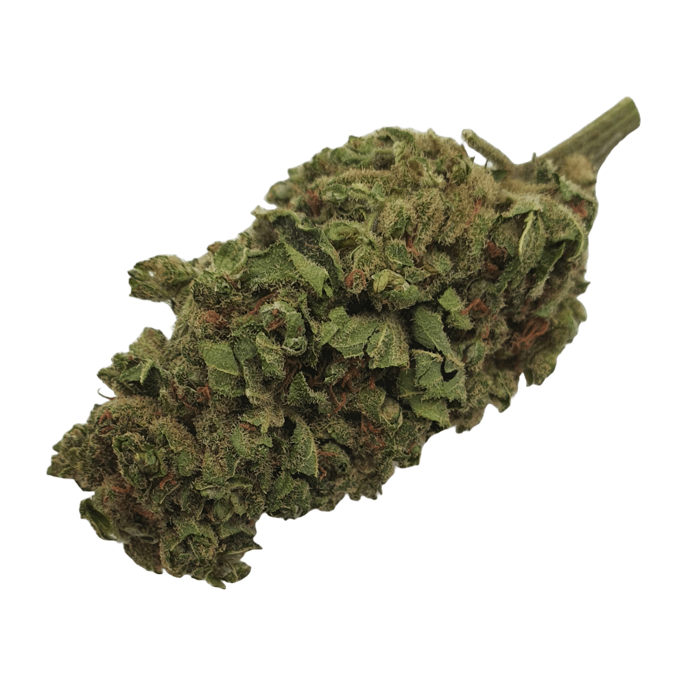 CBD - Blüten (6%) Amnesia Haze - Canabro