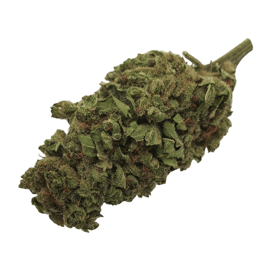 CBD - Blüten (6%) Amnesia Haze - Canabro