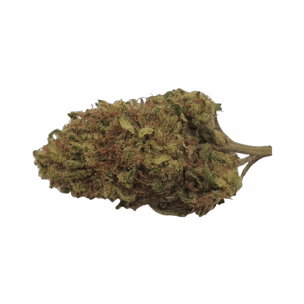 CBD - Blüten (8%) Orangenblüte - Canabro