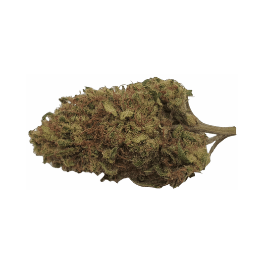 CBD - Blüten (8%) Orangenblüte - Canabro