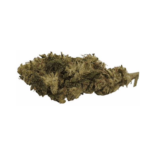 CBD - Blüten (8%) Sommermelone - Canabro