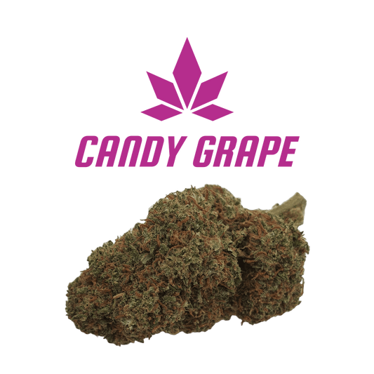 CBD - Blüten (10%) Candy Grape - Canabro