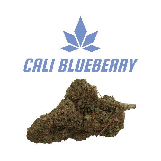 CBD - Blüten (13%) Cali Blueberry - Canabro