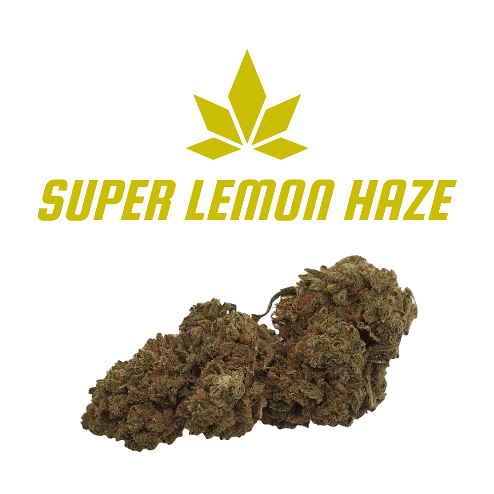 CBD - Blüten (13%) Super Lemon Haze - Canabro