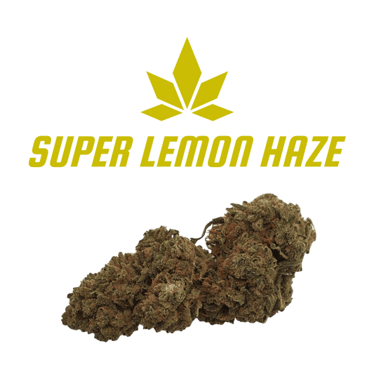 CBD - Blüten (13%) Super Lemon Haze - Canabro