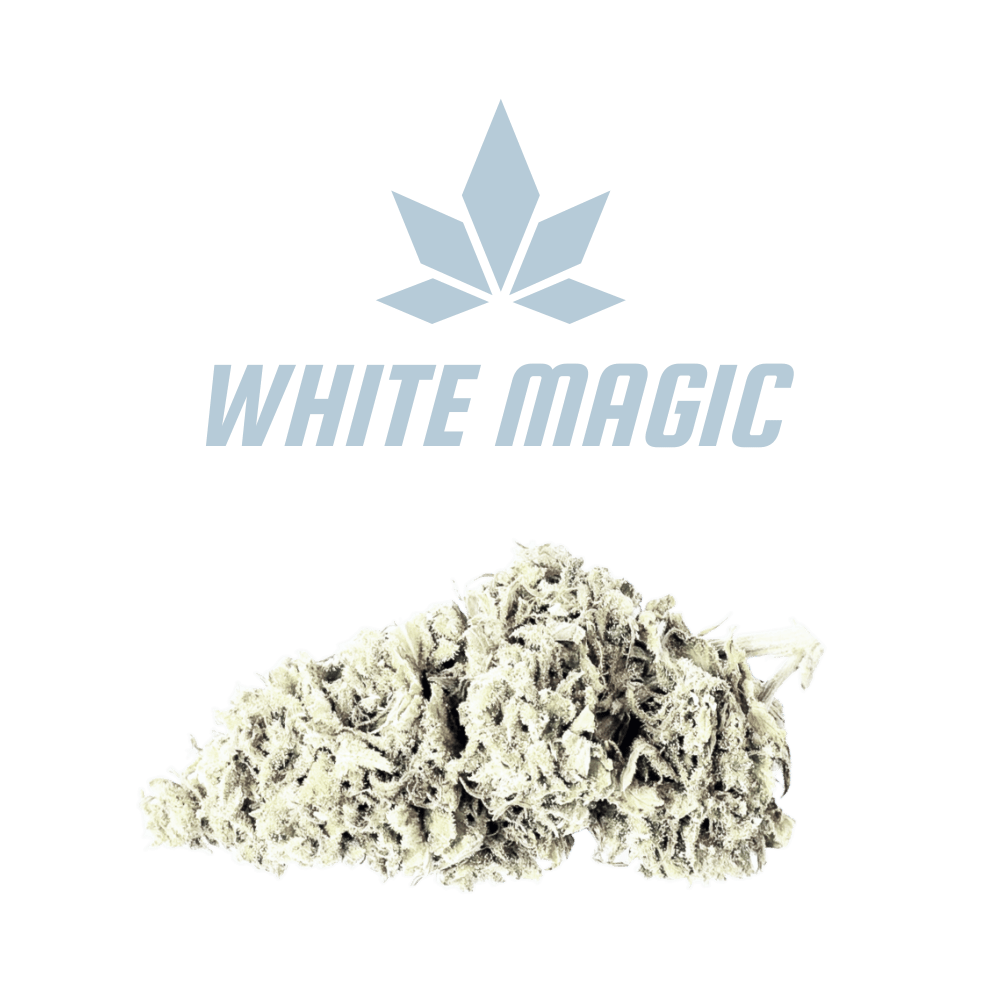 CBD - Blüten (50%) White Magic - Canabro