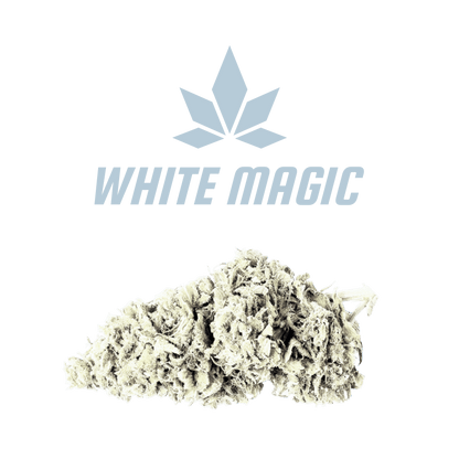CBD - Blüten (50%) White Magic - Canabro