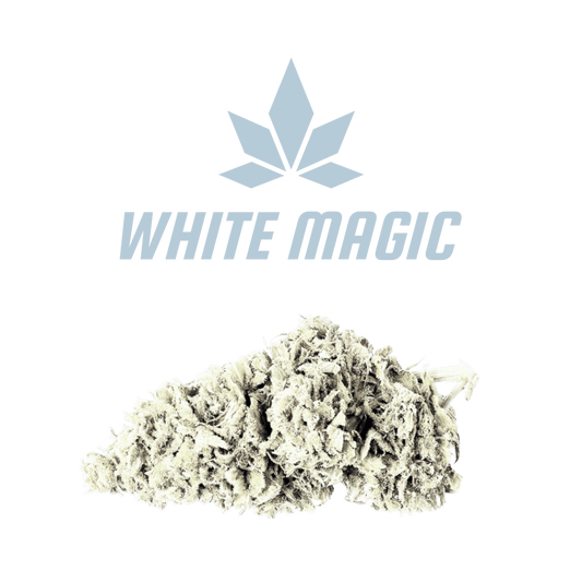 CBD - Blüten (50%) White Magic - Canabro