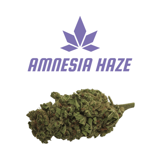 CBD - Blüten (6%) Amnesia Haze - Canabro