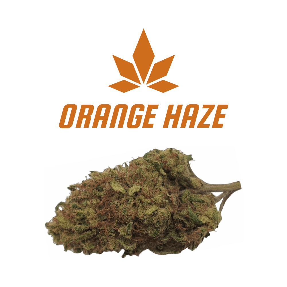 CBD - Blüten (8%) Orange Haze - Canabro