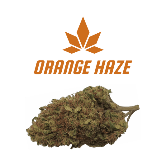 CBD - Blüten (8%) Orange Haze - Canabro