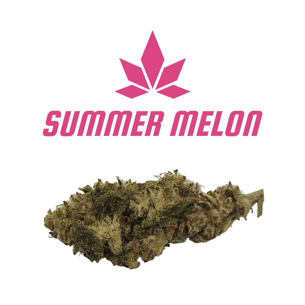 CBD - Blüten (8%) Summer Melon - Canabro