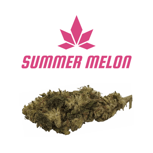 CBD - Blüten (8%) Summer Melon - Canabro