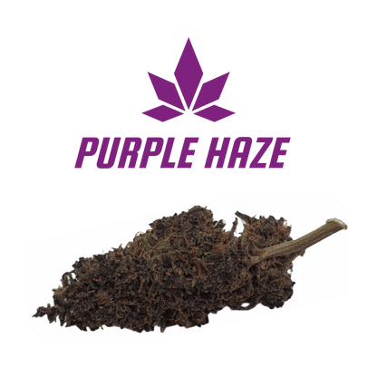 CBD - Blüten (9%) Purple Haze - Canabro