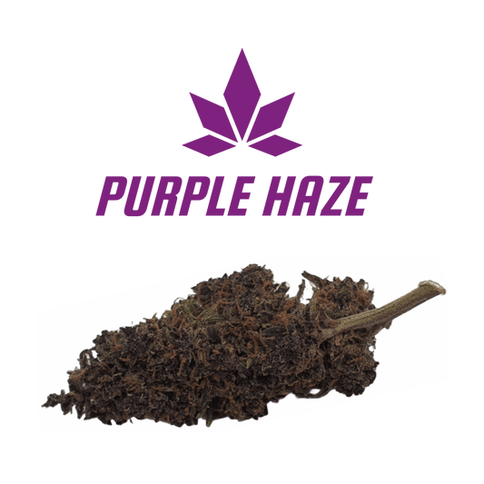 CBD - Blüten (9%) Purple Haze - Canabro